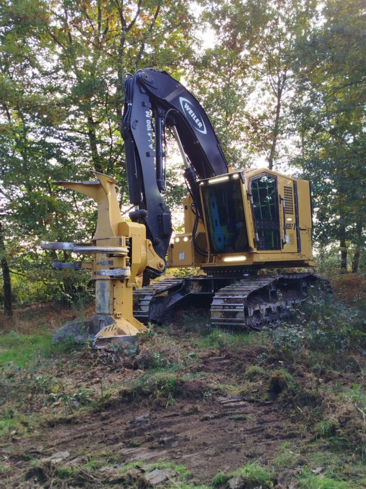 Travaux Bois énergie
